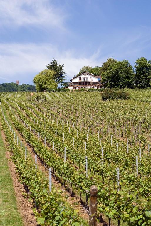 Le Clos Saint-Vincent Ribeauville  Ngoại thất bức ảnh